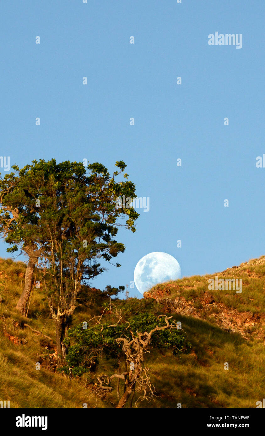 Mondaufgang über Sebayur Insel in der Nähe von Labuan Bajo, Indonesien. Stockfoto