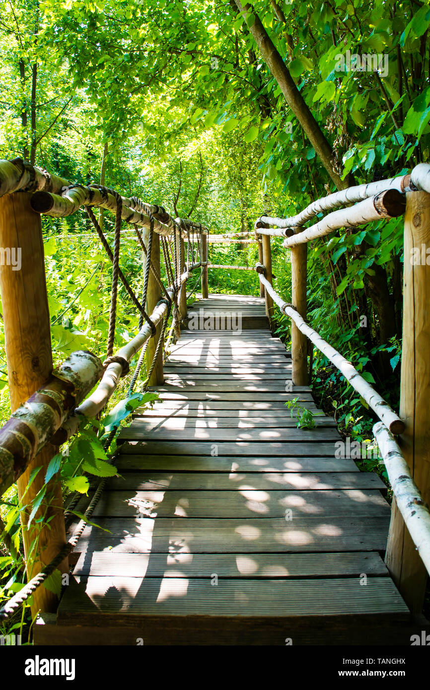 Friedliche Natur Holz- Wanderweg in den Wald. Stockfoto