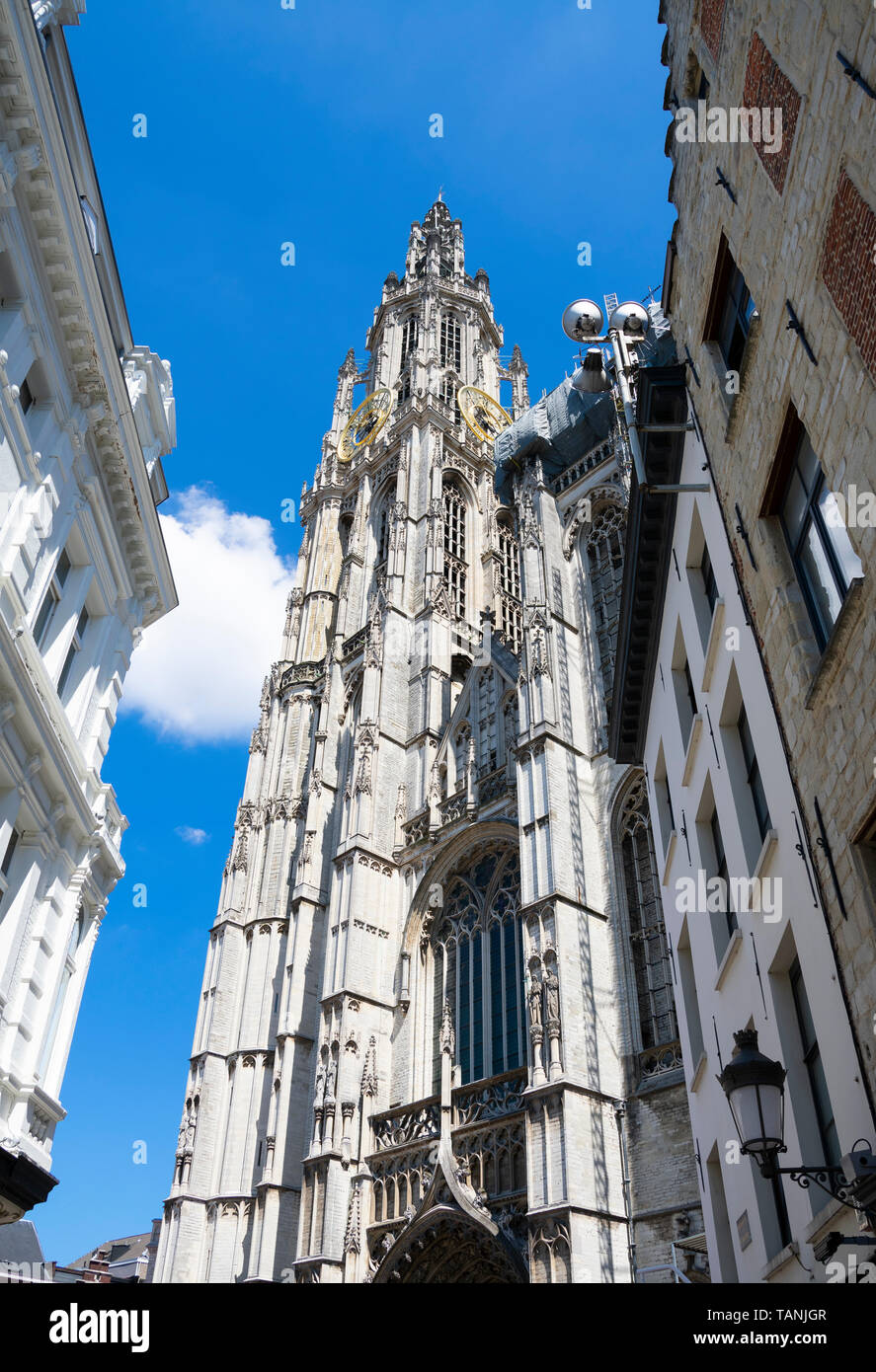 Die Kathedrale von Antwerpen Foto vom niedrigsten Punkt ganz oben genommen Stockfoto