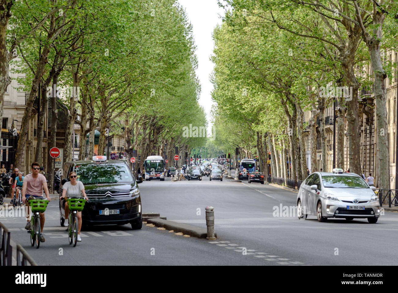 Zwei Radfahrer auf der von Bäumen gesäumten Boulevard Saint-Germain im 6. Arrondissement in Paris. Stockfoto
