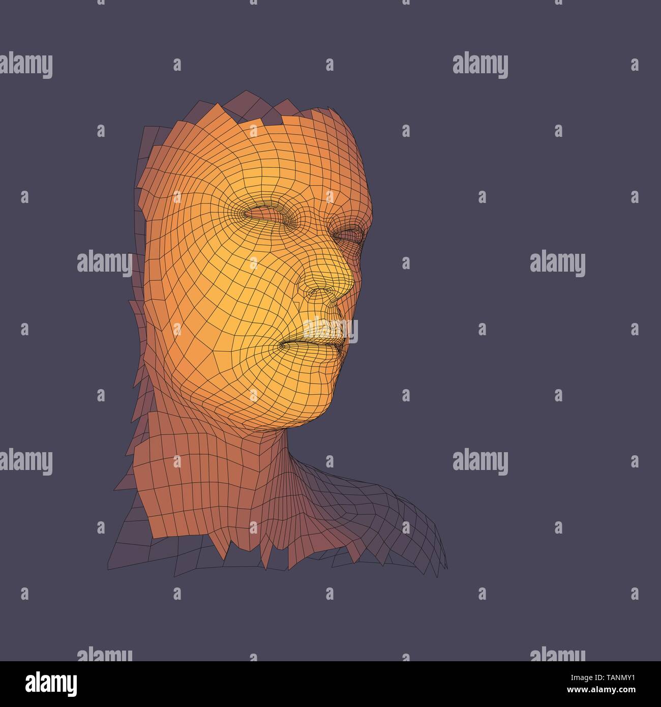 Kopf der Person aus einem 3D-Grid. Menschlichen Kopf Kabel Modell. Gesicht zu Scannen. Ansicht von der menschlichen Kopf. 3D-geometrischen Design. Polygonale bedeckenden Haut. Vektor Stock Vektor