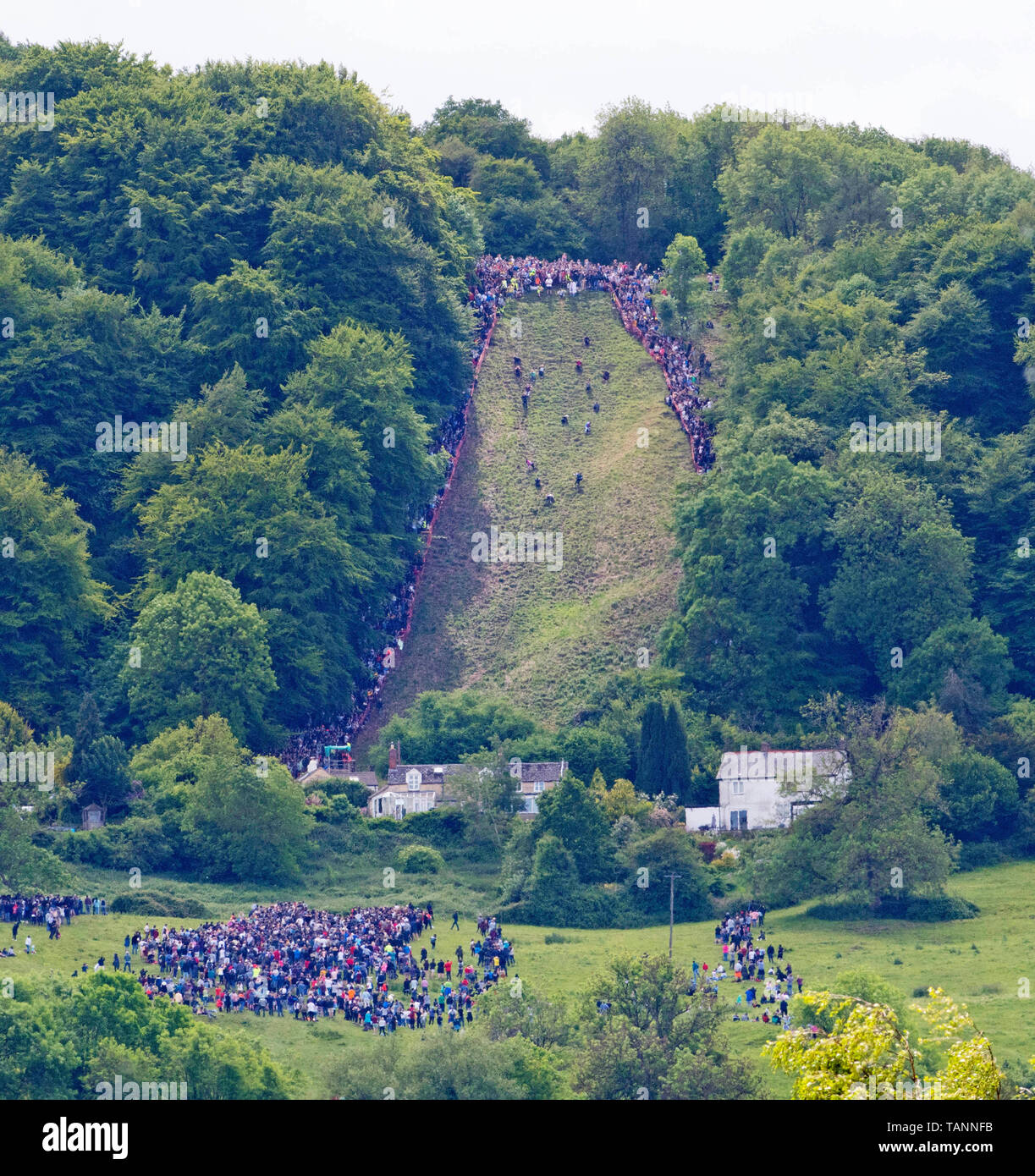 Die Teilnehmer nehmen Park in der jährlichen Käse rolling Rennen nach unten Coopers Hill auf der Jagd nach einem Double Gloucester cheese. Brockworth, Gloucestershire. 27.05.19 Stockfoto