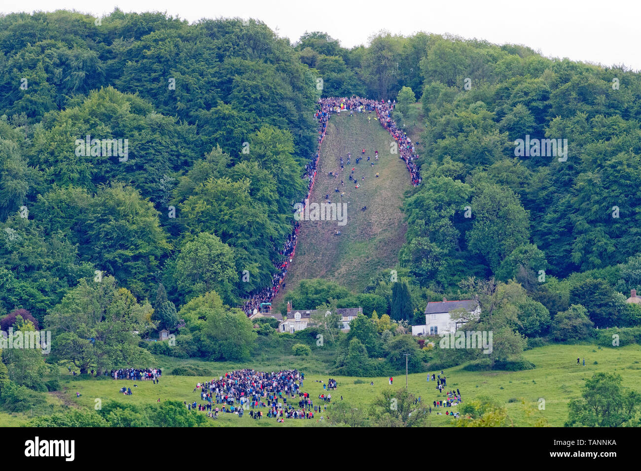 Die Teilnehmer nehmen Park in der jährlichen Käse rolling Rennen nach unten Coopers Hill auf der Jagd nach einem Double Gloucester cheese. Brockworth, Gloucestershire. 27.05.19 Stockfoto