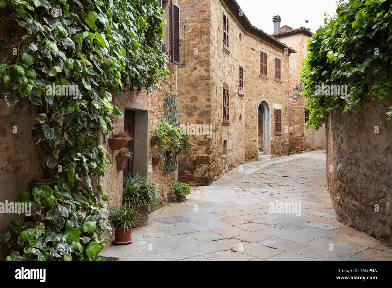 Gasse im Dorf Castelmuzio, Castelmuzio, Provinz Siena, Toskana, Italien, Europa Stockfoto