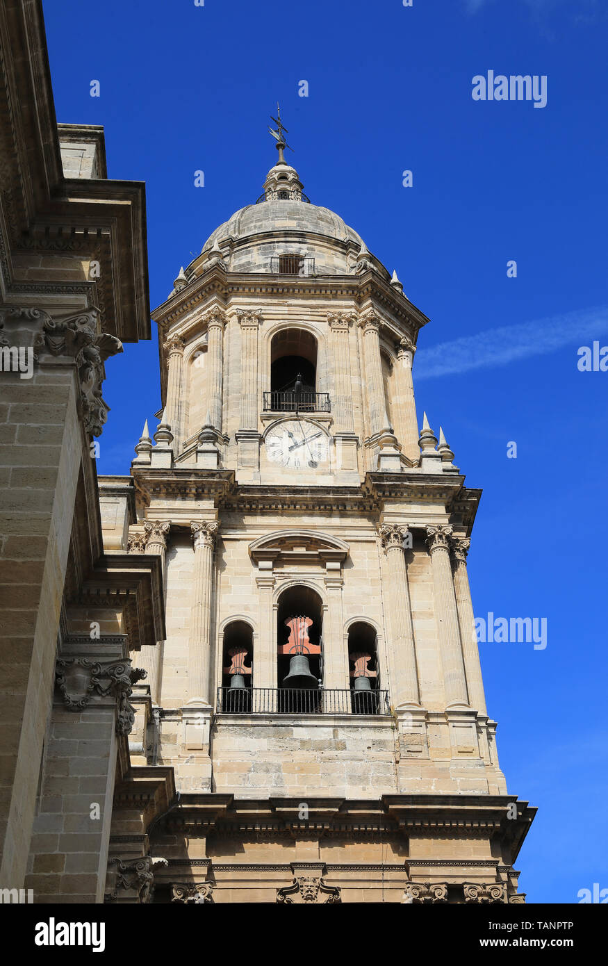 Der Glockenturm der schönen Kathedrale von Malaga, im Zentrum der Stadt an der Costa del Sol in Andalusien, in Spanien, Europa Stockfoto