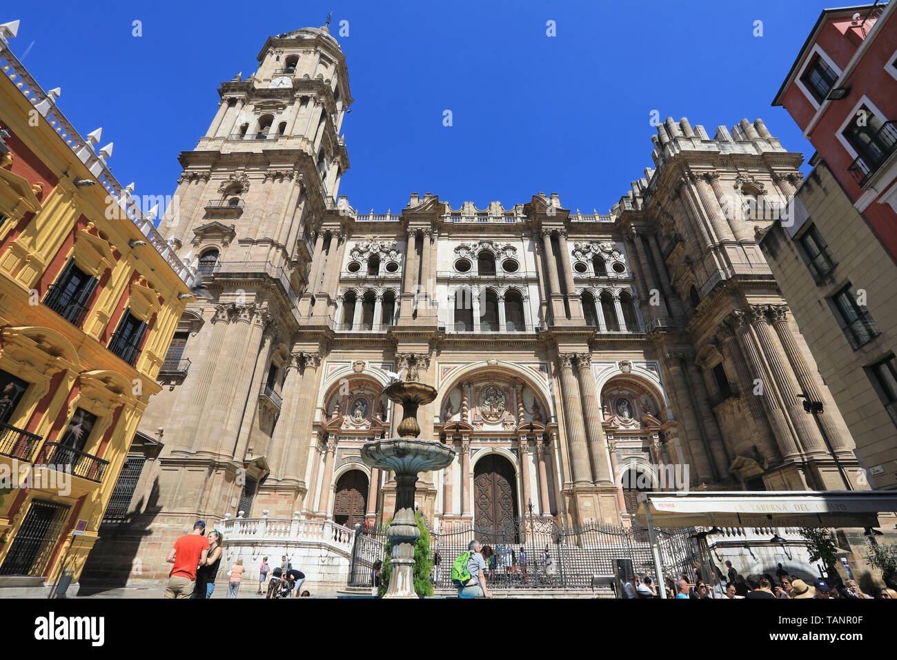 Schöne Kathedrale von Malaga, von der Plaza del Obispo, im Zentrum der Stadt an der Costa del Sol in Andalusien, in Spanien, Europa Stockfoto