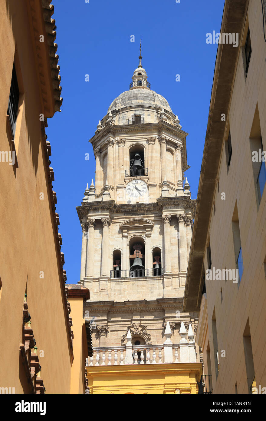 Der Glockenturm der schönen Kathedrale von Malaga, im Zentrum der Stadt an der Costa del Sol in Andalusien, in Spanien, Europa Stockfoto