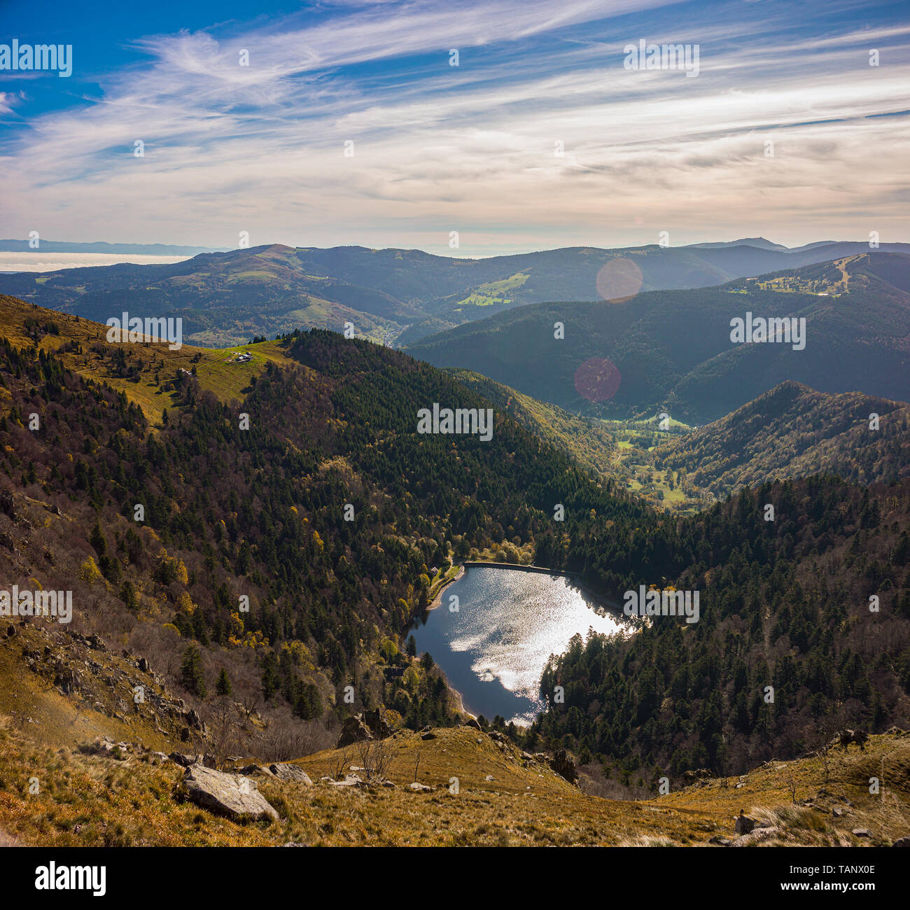 Mit Blick auf die malerische Landschaft der Vogesen. Schiessrothried See, aus dem Hohneck Gipfel. Sommer, Frankreich. Stockfoto
