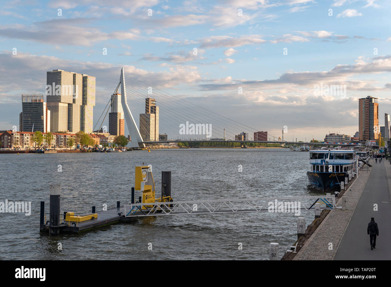 Rotterdam, Niederlande - 24.April 2019: Blick auf die Skyline von der Neuen Maas Grenzen mit Erasmus Brücke und De Rotterdam Gebäude im Hintergrund an einem klaren Tag Stockfoto