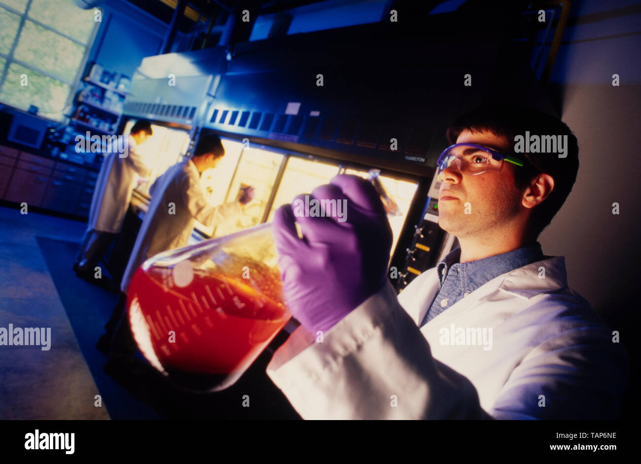 Medizinische Droge Forscher in einem Labor in der North Carolina Research Triangle. Stockfoto