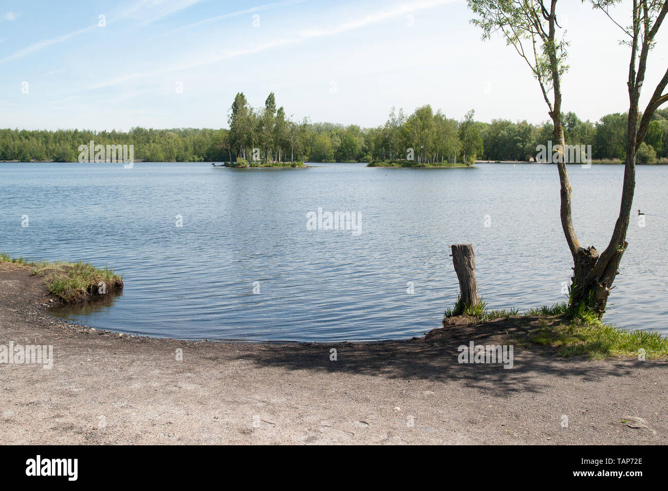 Parc park Rieulay Nordfrankreich Etang des Argales Stockfoto