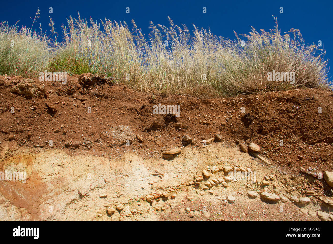 Boden Profil unter Grünland auf der Griechischen Insel Kreta Stockfoto