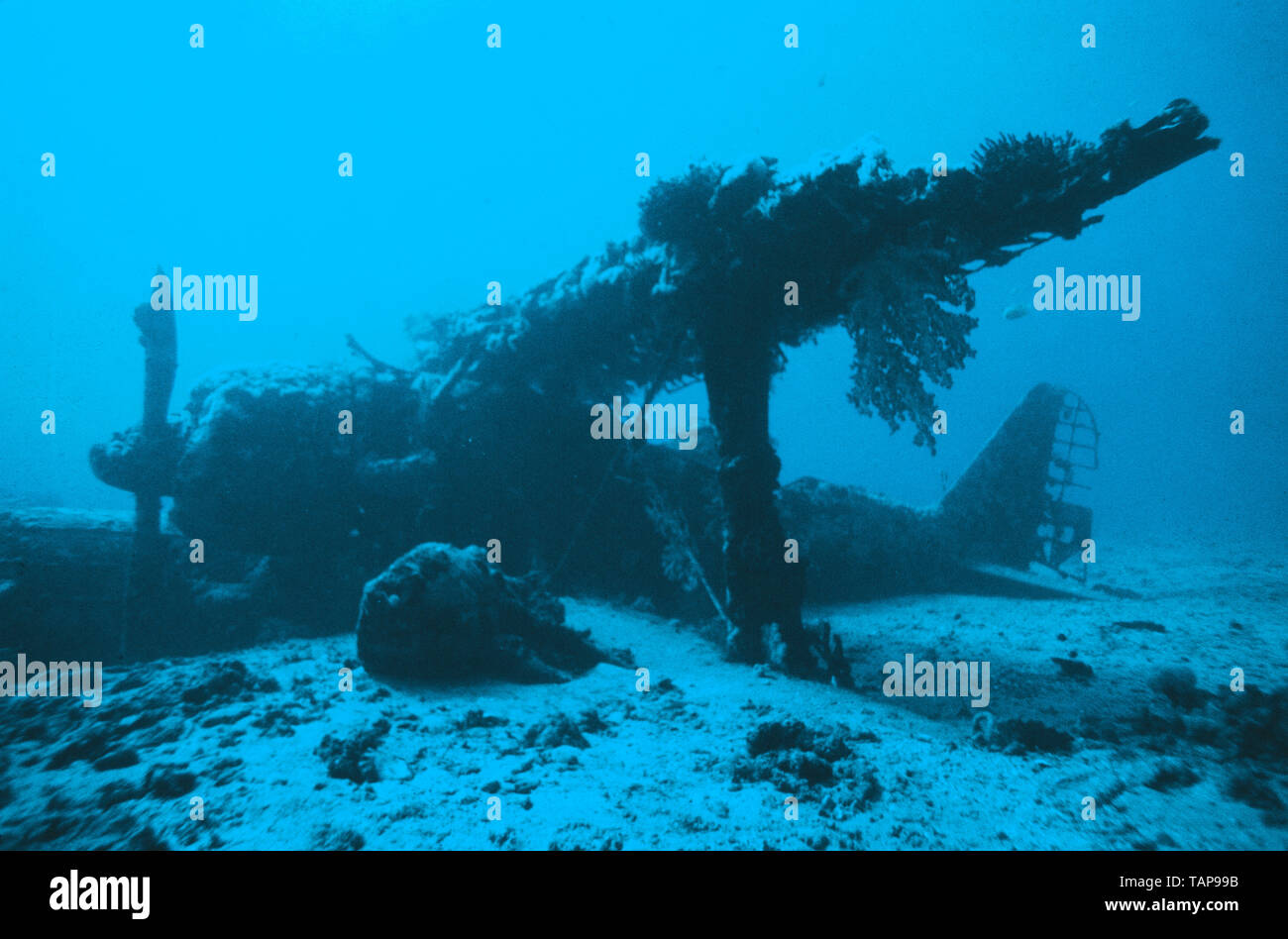 Papua Neu Guinea. Rabaul. Unterwasseransicht des 2. Weltkrieges japanischen Mitsubishi F1M Wasserflugzeug Wreckage "Pete". Stockfoto