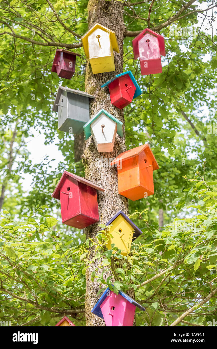 Synthetische bunte Nester hängen am Baum. Handgefertigte Holz Vogelhaus auf einen Baum für Vogel Schutz. Frühling Landschaft mit Vogel Nistkasten an einem Baum Stockfoto