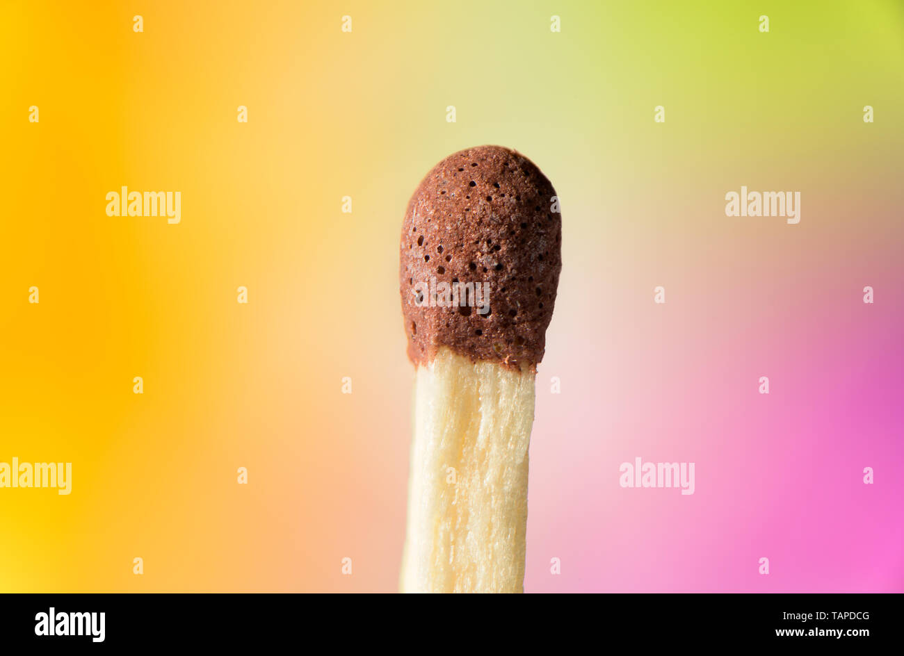 Nahaufnahme Makro der Kopf einer entsprechen Stockfoto