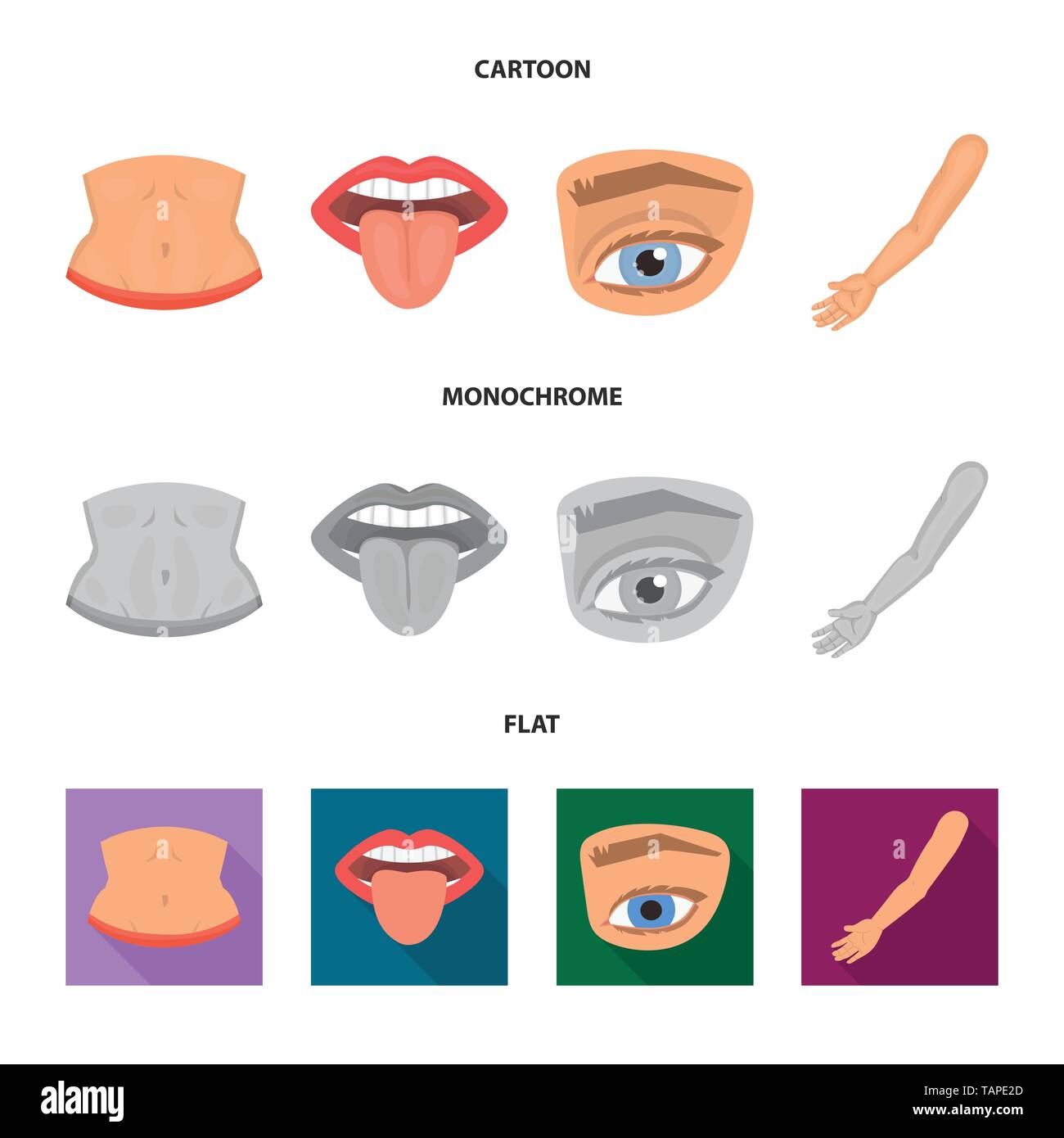Vector Illustration von Körper und Symbol. Sammlung von Körper und ...