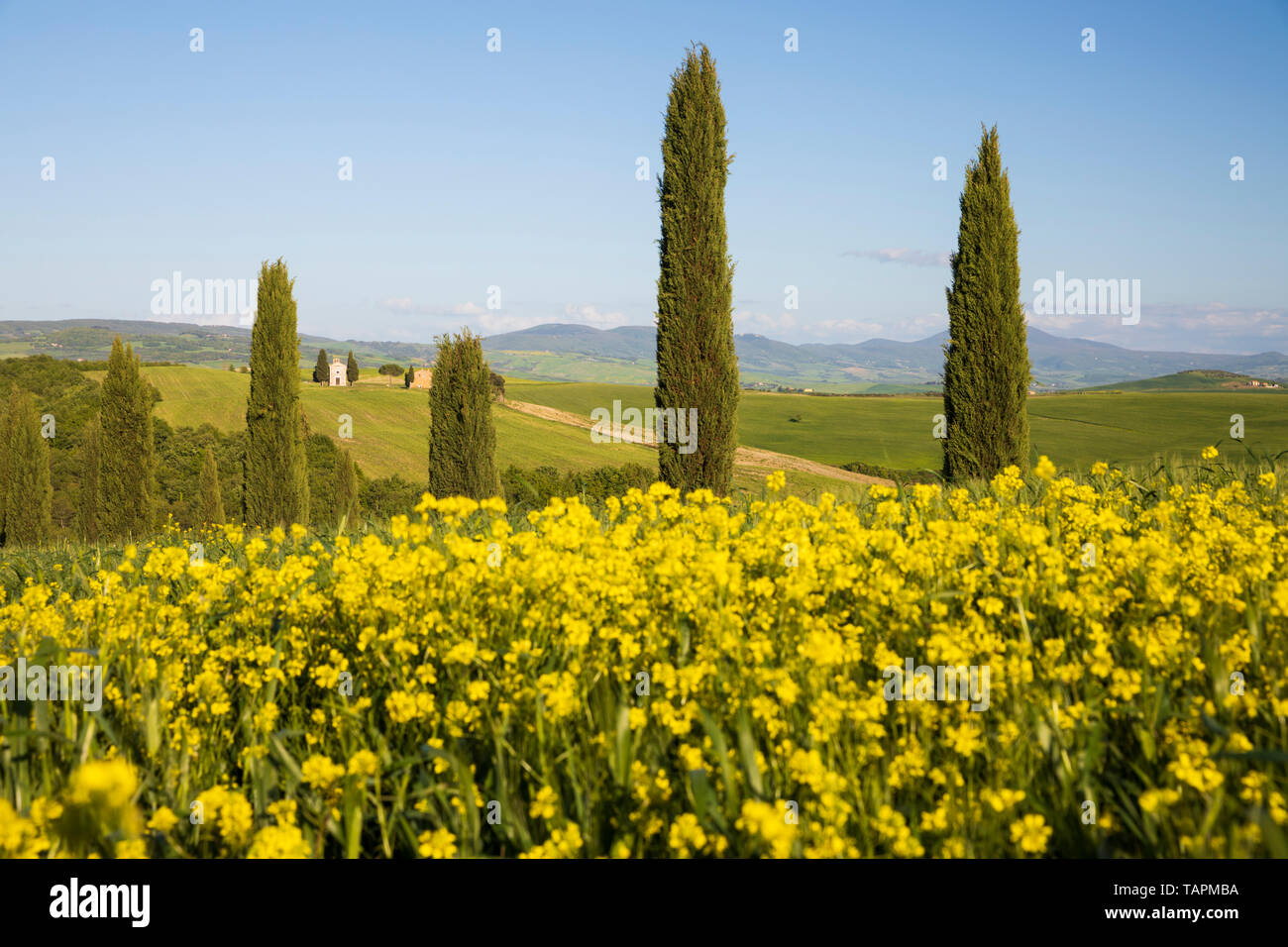 Cappella Madonna di Vitaleta Kapelle, San Quirico d'Orcia Provinz Siena, Toskana, Italien, Europa Stockfoto