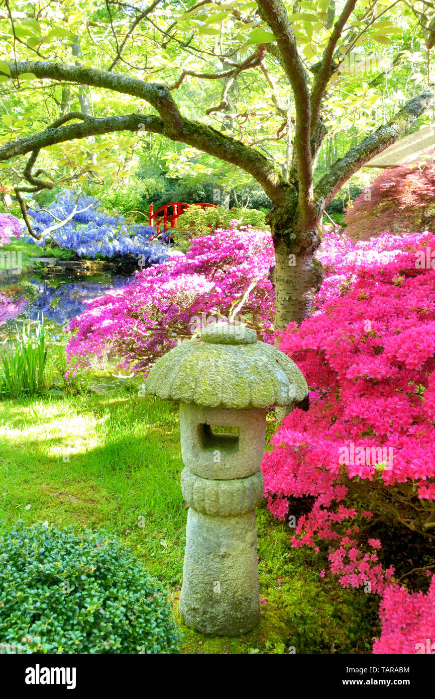 Japanischer Garten, Park Clingendael, Den Haag, Niederlande Stockfoto