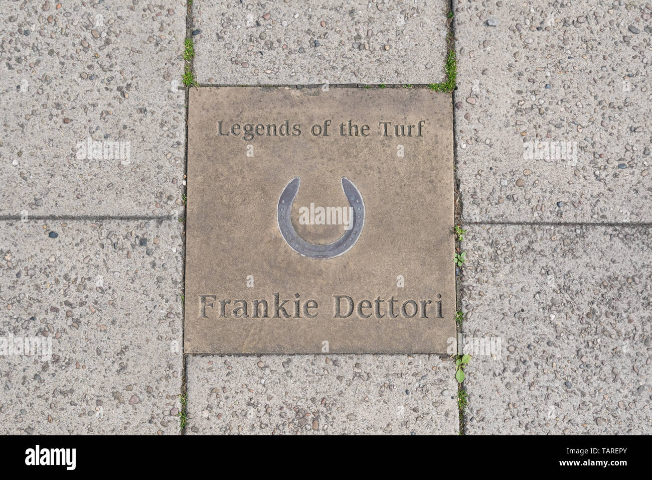 Legenden der Rasen - von Newmarket 'Walk of Fame' - Frankie Dettori commemorative ebnet Scheibe in Newmarket High Street, England, Großbritannien Stockfoto