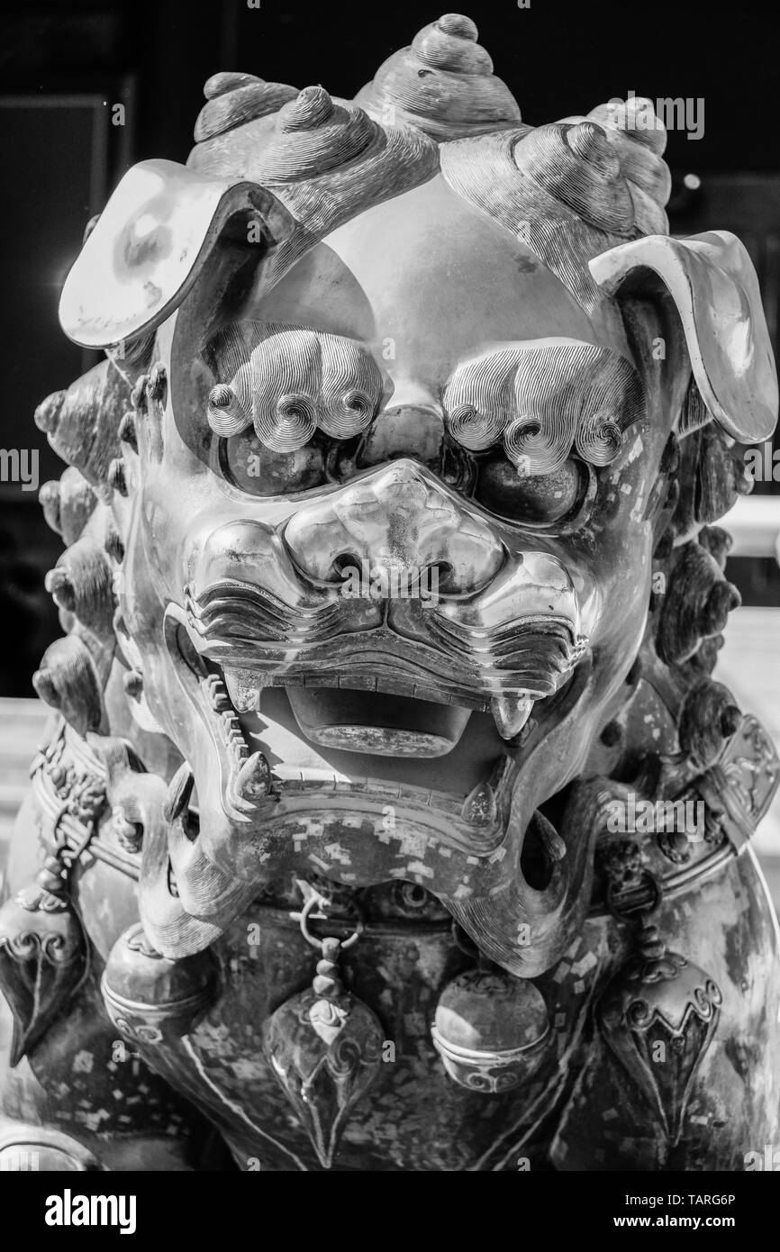 Große vergoldete Löwen Statue, die in der Verbotenen Stadt in Peking, China Stockfoto