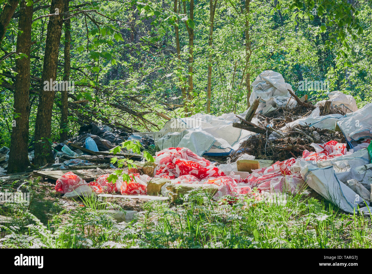 Ein Haufen Müll im Wald. Rasse Schutz. Kunststoff Papierkorb. Das Konzept der ökologischen Probleme Stockfoto