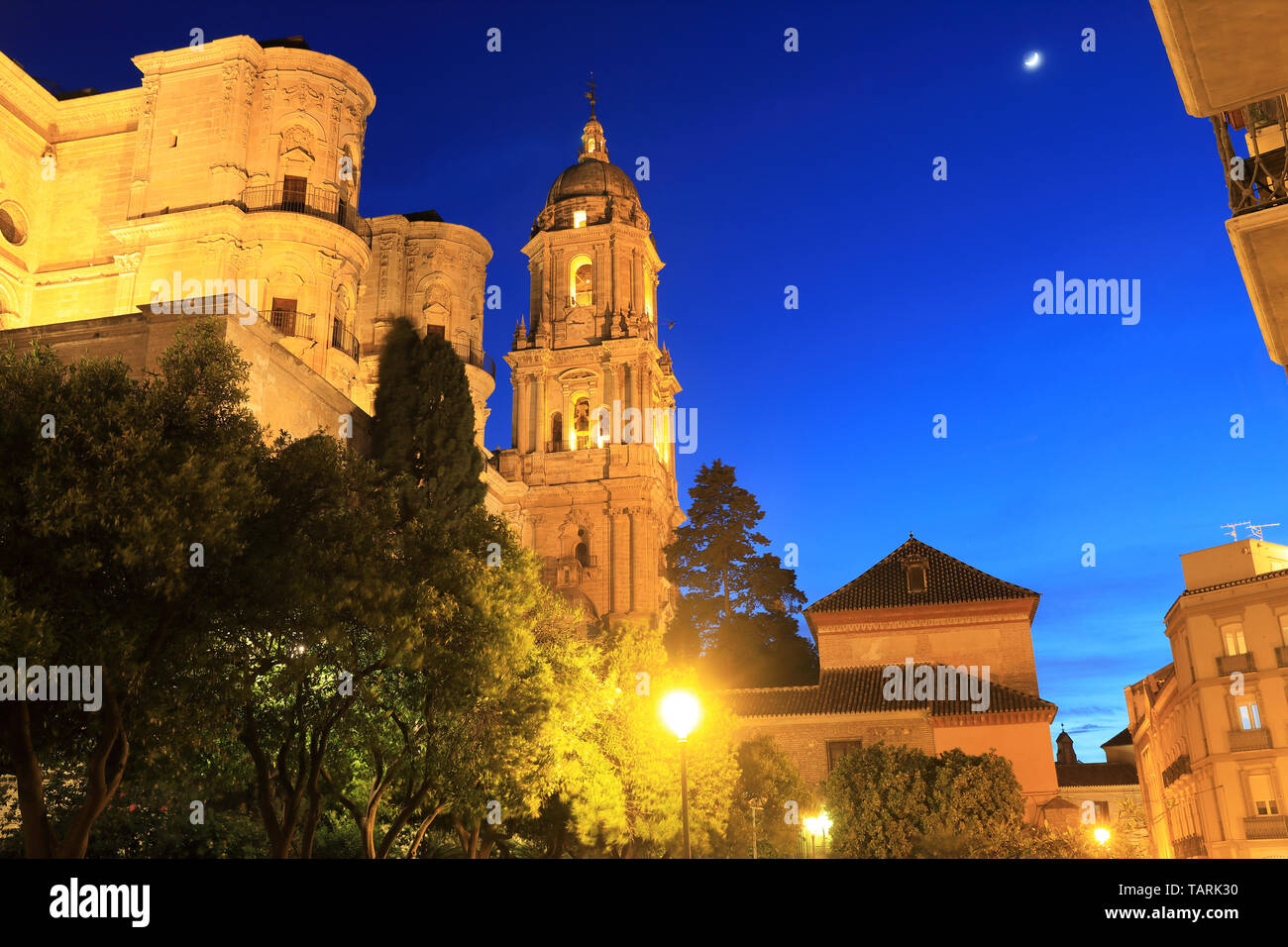 Beleuchtete die Kathedrale von Malaga in der Nacht, im Zentrum der Stadt, in Andalusien, Spanien, Europa Stockfoto