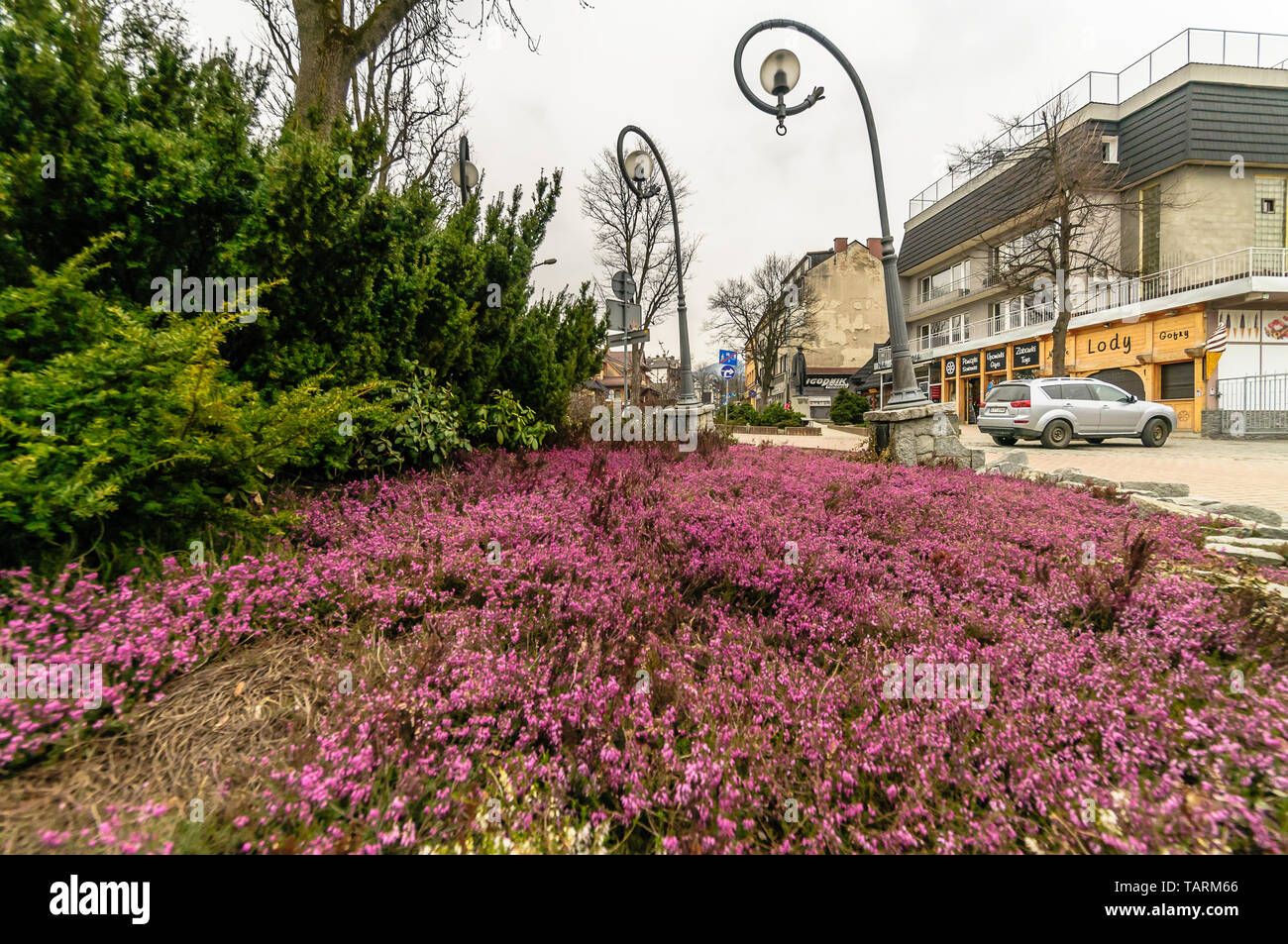 Zakopane, Krupowki str,, April, 11, 2019. Flowerbasket auf eines der am meisten famoust Straße in die Hauptstadt der polnischen Tatra bei bewölkter Tag Stockfoto