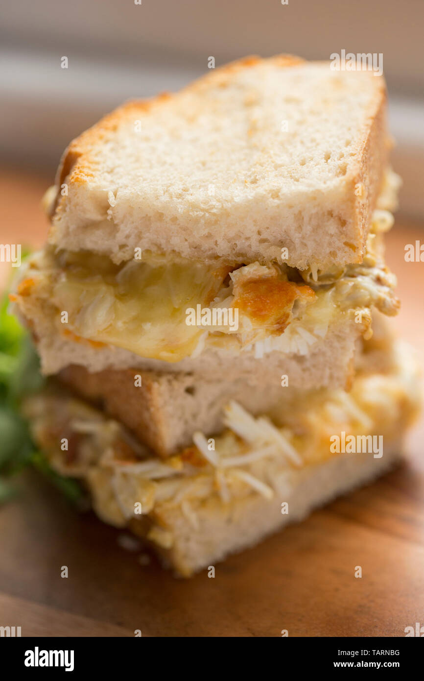 Ein hausgemachtes geröstete Krabben und Käse Sandwich aus der braunen und weißen Krabben Fleisch aus einer Seespinne, die vorher gekocht worden war. Die Spinne cra Stockfoto