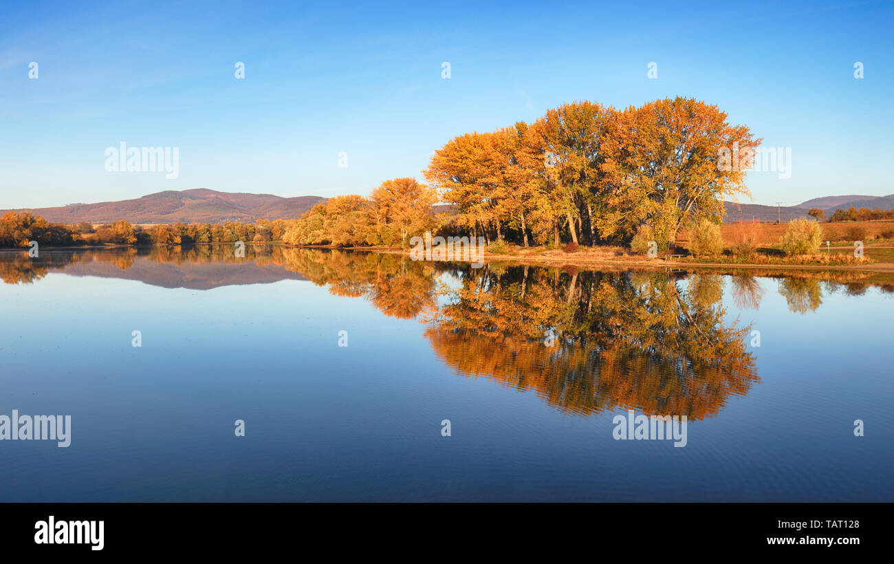 Herbst bunte Bäume unter Morgensonne in ruhiger Fluss widerspiegelt Stockfoto
