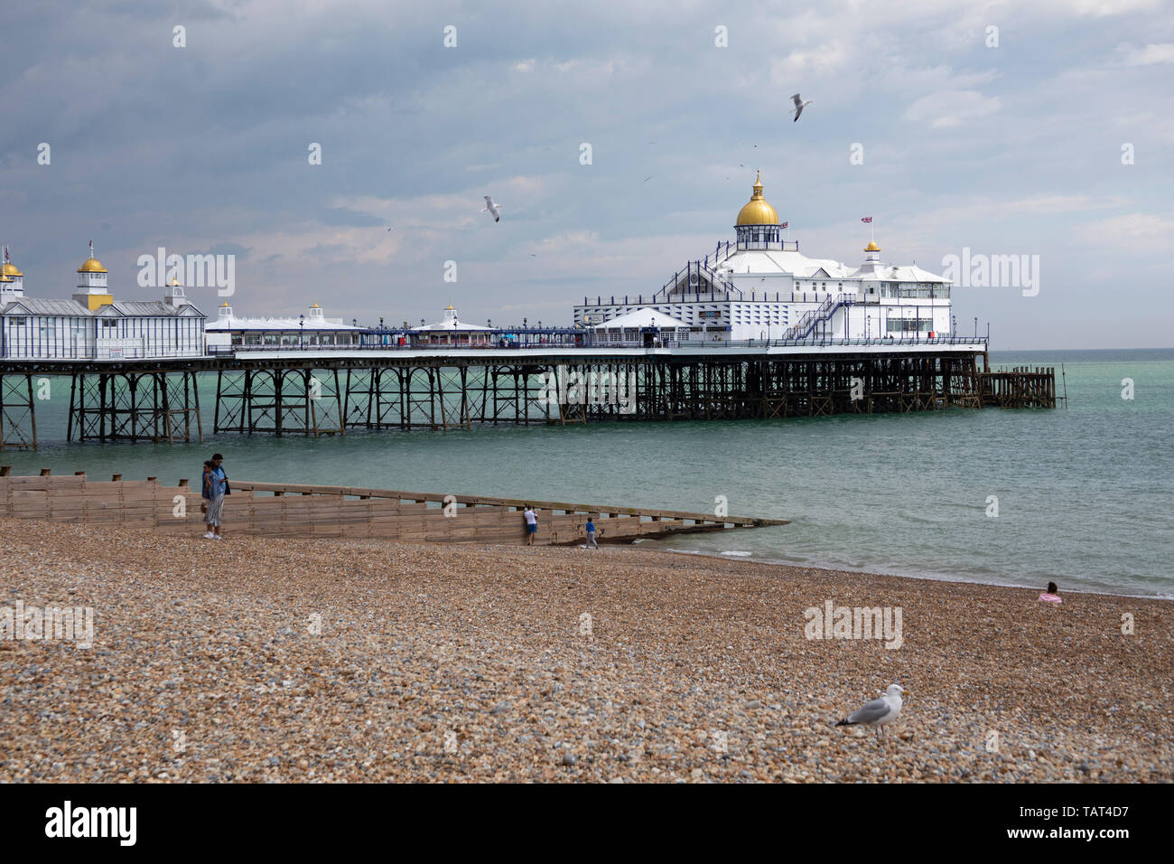 Eastbourne Pier und Pebble Beach Stockfoto