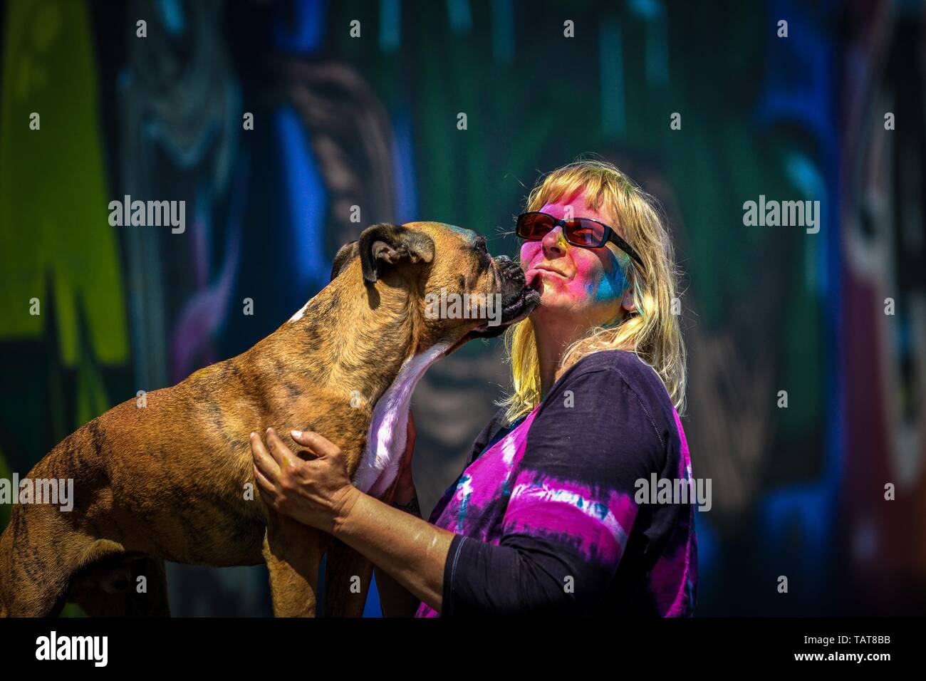 Frau und deutsche Boxer Stockfoto