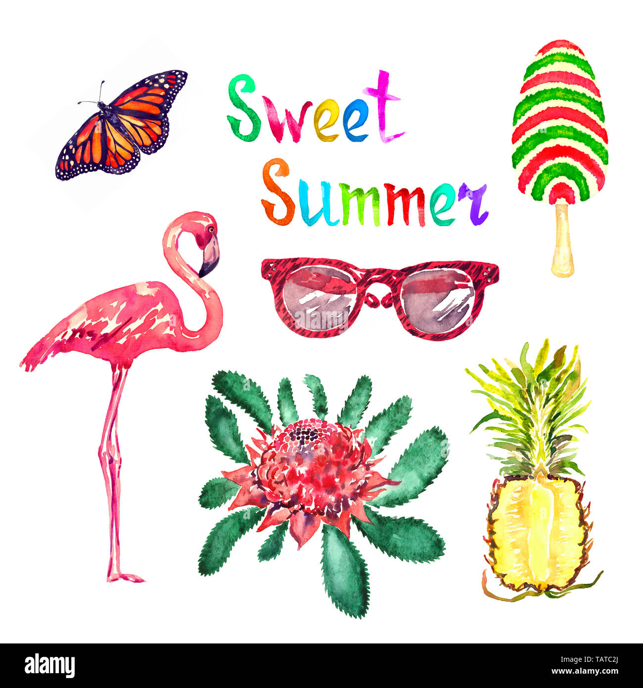 Sweet Summer Aquarell isoliert Abbildung, Monarch butterfly, Gläser, gestreifte Eis, Flamingo, New South Wales waratah Stockfoto