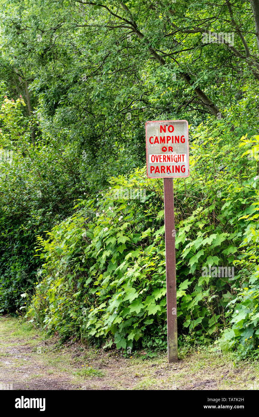 Kein Camping und Parken über Nacht Warnschild auf Post mit roter Schrift auf der Landstraße, neben grünen Bäumen. Stockfoto