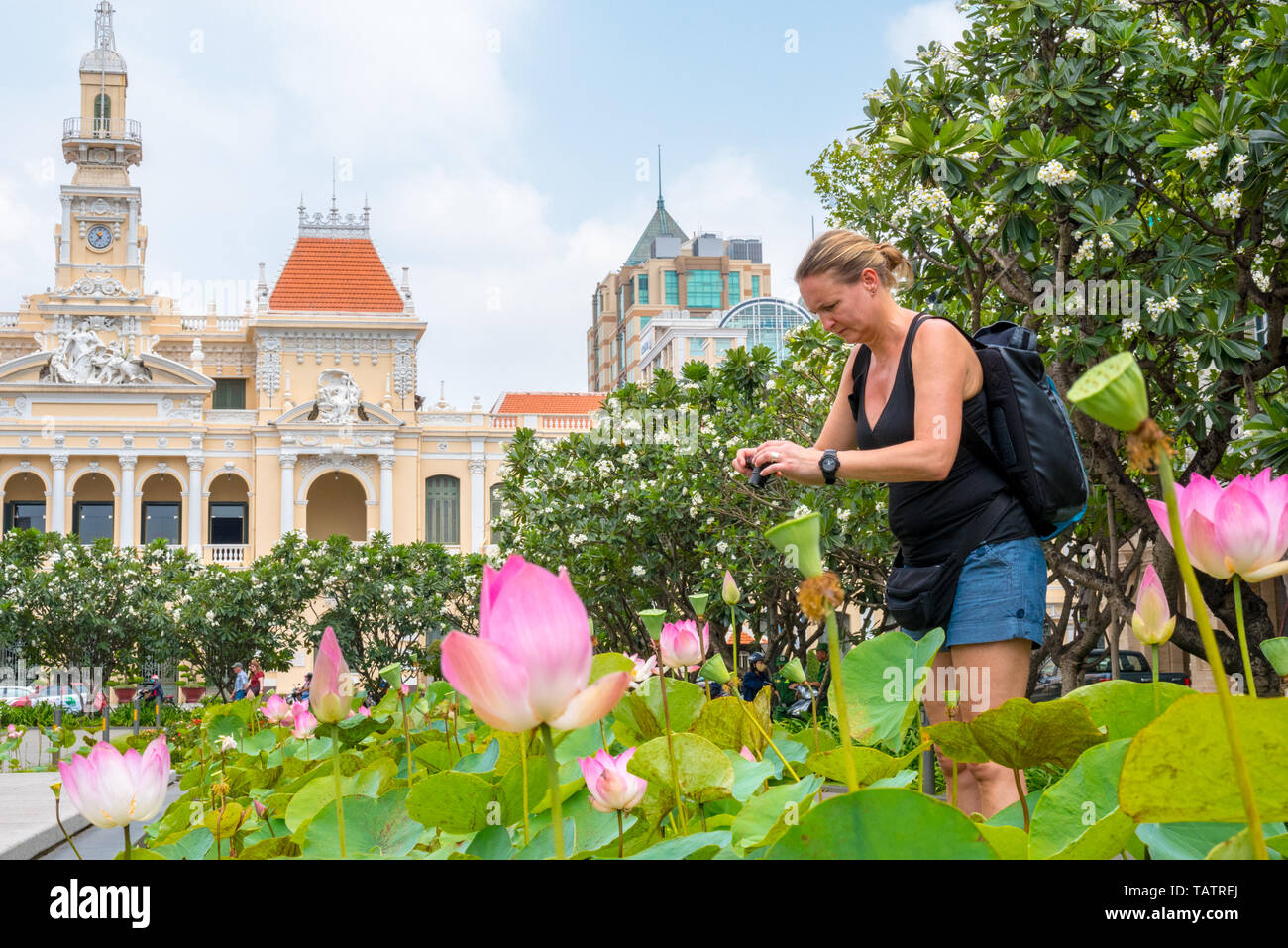 Ho Chi Minh City, Vietnam - April 8, 2019: ein Reisender nimmt ein Foto von Pink Lotus Blumen im Garten vor Saigon City Hall. Stockfoto