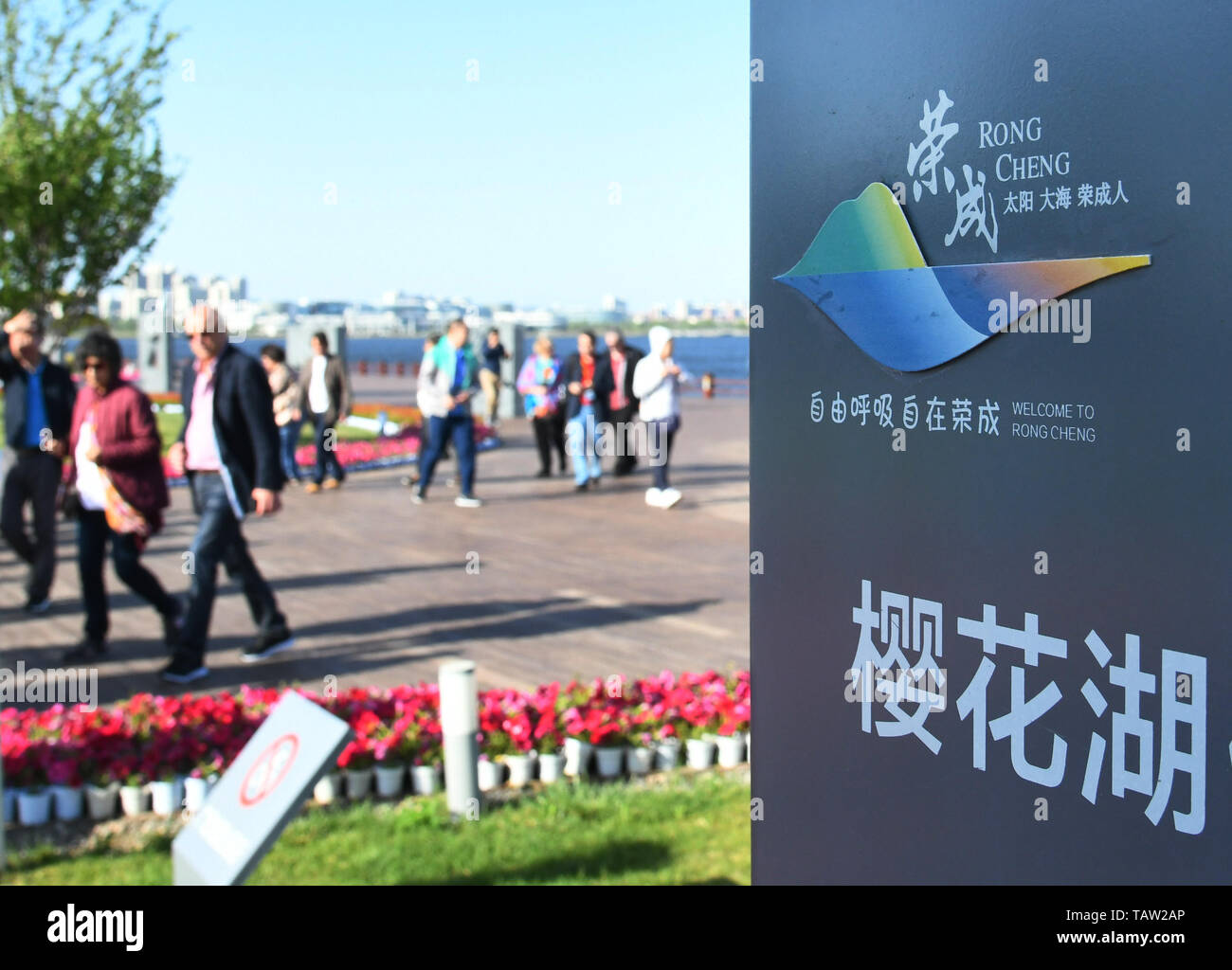 Rongcheng, der chinesischen Provinz Shandong. 27. Mai, 2019. Menschen besuchen die Yinghua See in Stadt Rongcheng, Provinz Shandong, China, 27. Mai 2019. Dank der ökologischen Schutz, die Yinghua See hat aus einem verseuchten See an einen Themenpark umgewandelt worden. Credit: Li Ziheng/Xinhua/Alamy leben Nachrichten Stockfoto