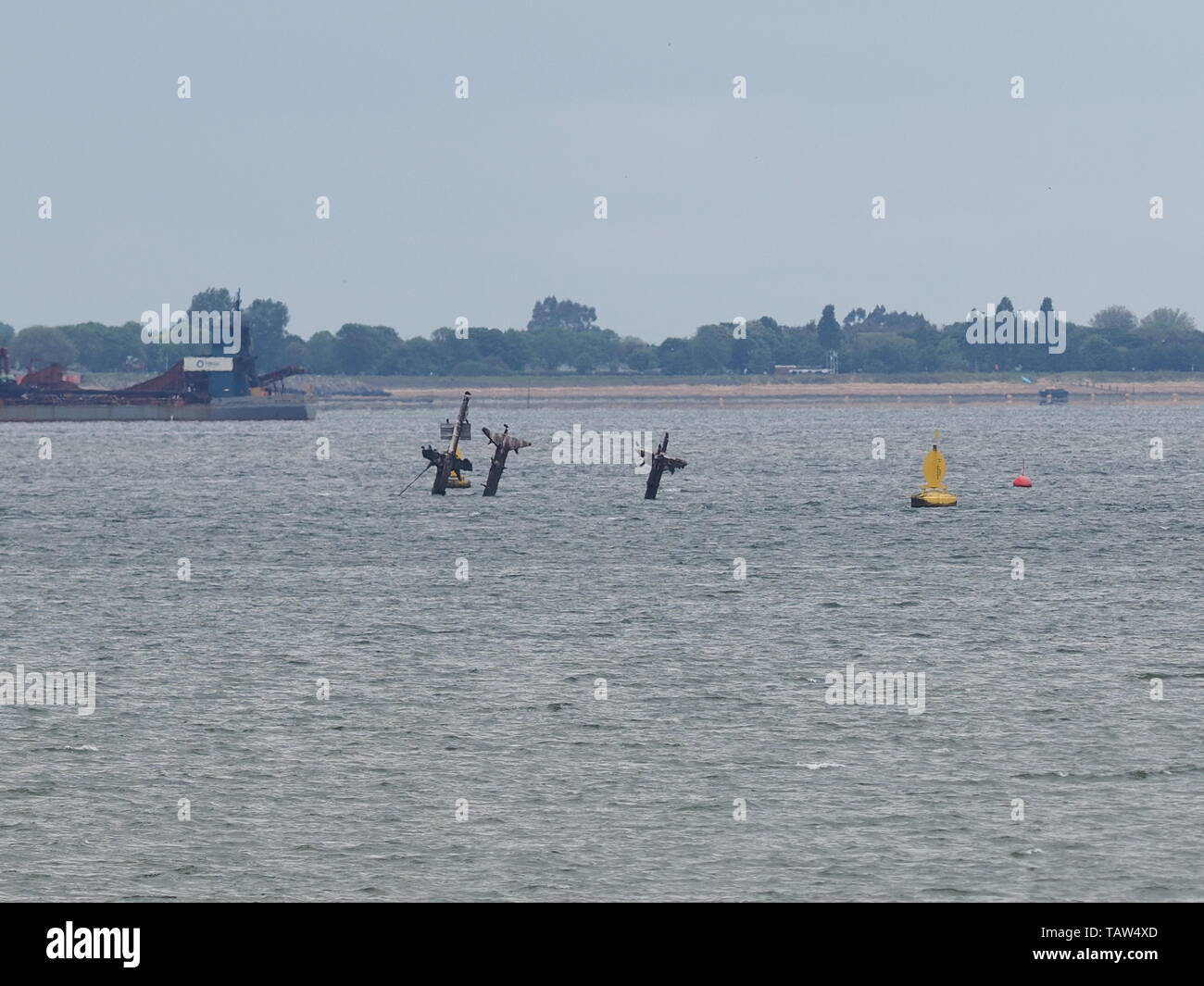 Sheerness, Kent, Großbritannien. 28 Mai, 2019. UK Wetter: das Wrack der SS Richard Montgomery bei mittleren Tide heute in Sheerness, Kent, das liegt 1,5 Meilen nördlich von Sheerness. Der Spiegel hat heute berichtet die Versunkene WWII Boot mit Sprengstoff gefüllten Tsunami" führen könnte, da es immer noch 1.400 Tonnen Sprengstoff an Bord. Credit: James Bell/Alamy leben Nachrichten Stockfoto