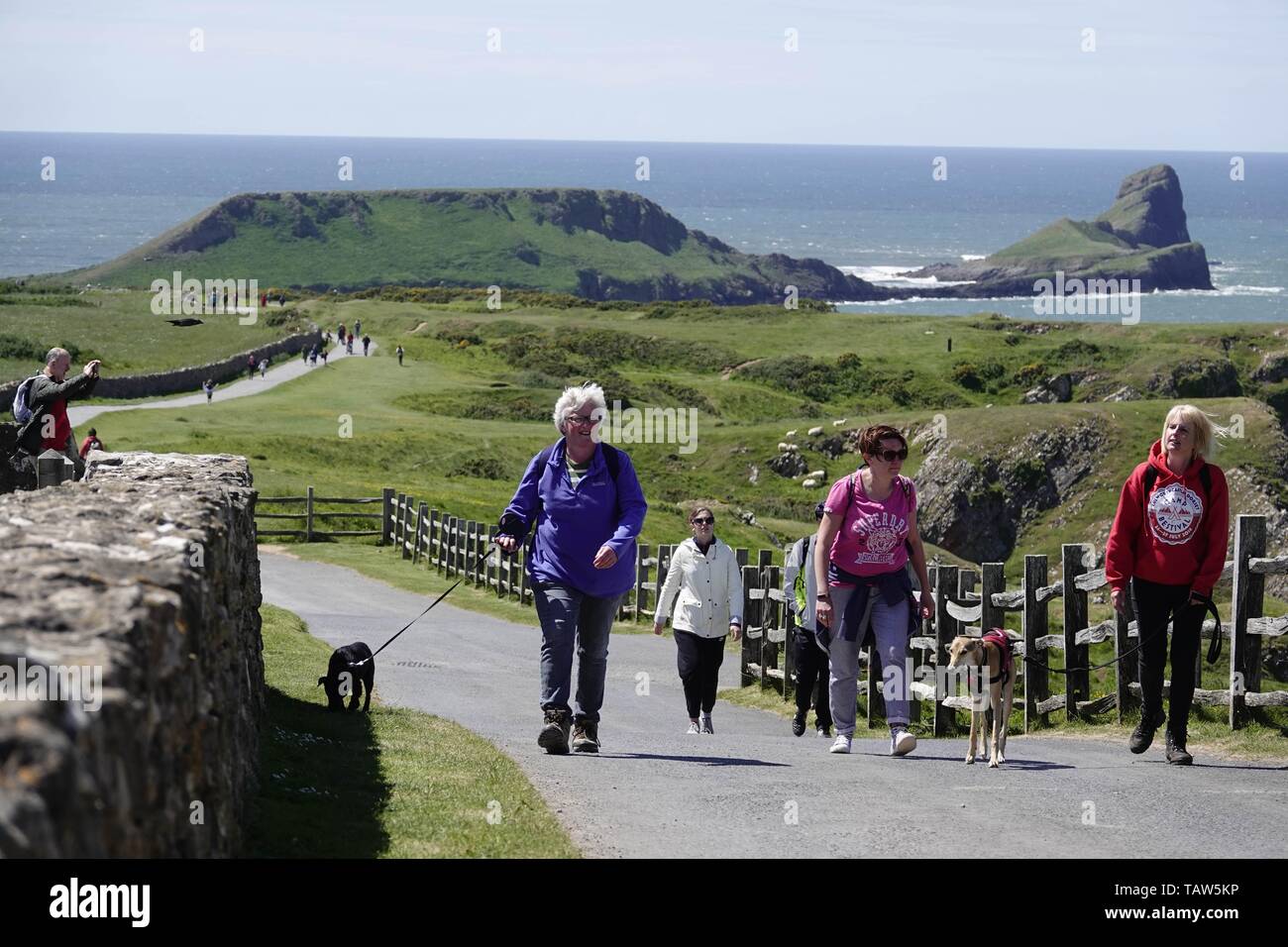 Trotz Kopf Stockfotos Und Bilder Kaufen Alamy