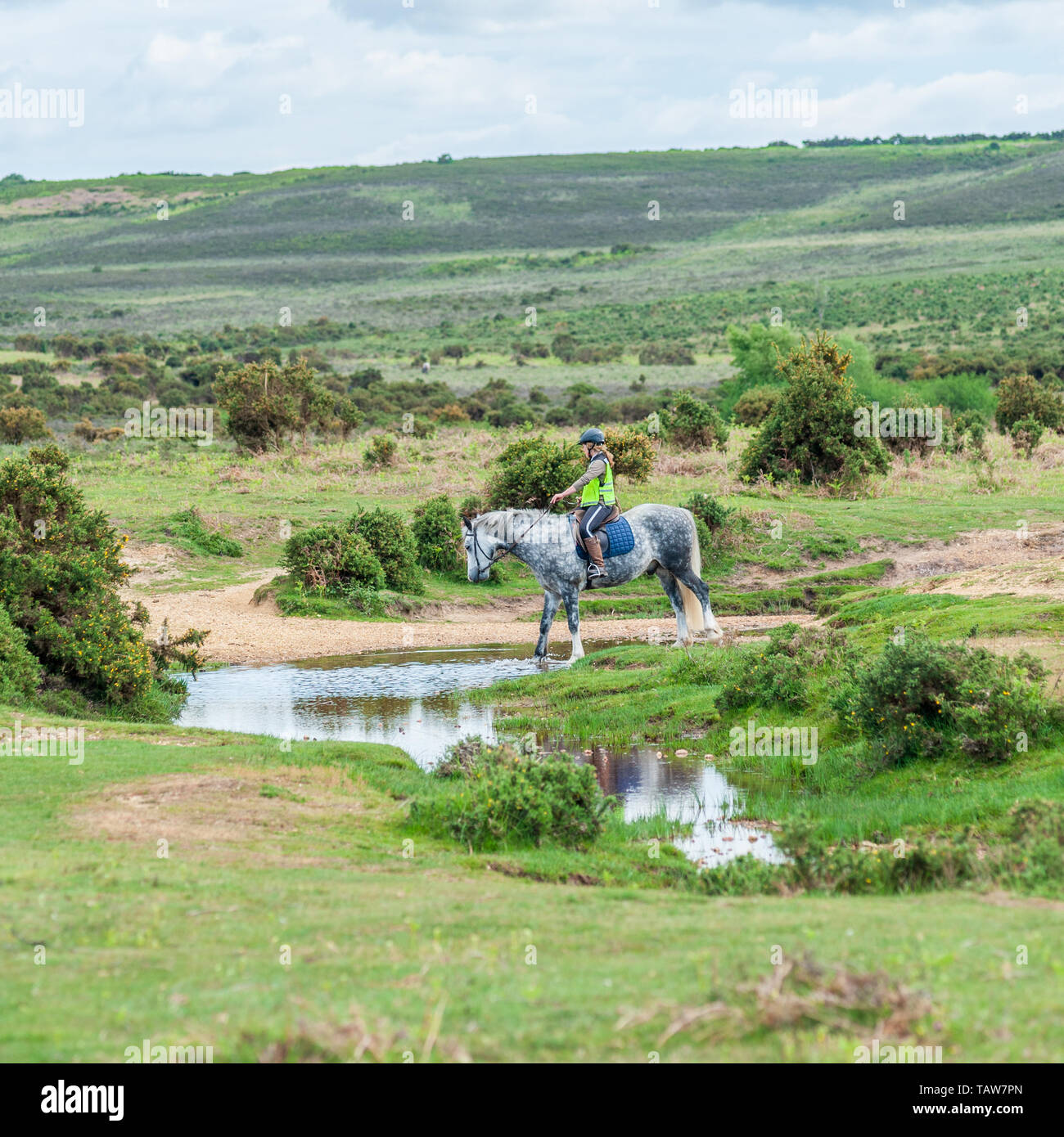 Reiter, die einen Fluss überqueren, New Forest, Hampshire, England, Großbritannien, Mai 2019 Stockfoto