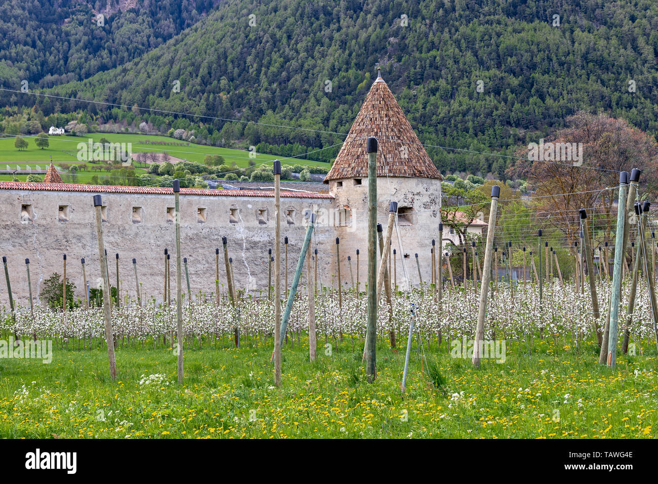 Kleine mittelalterliche Stadt Glurns im Vinschgau, Südtirol Stockfoto