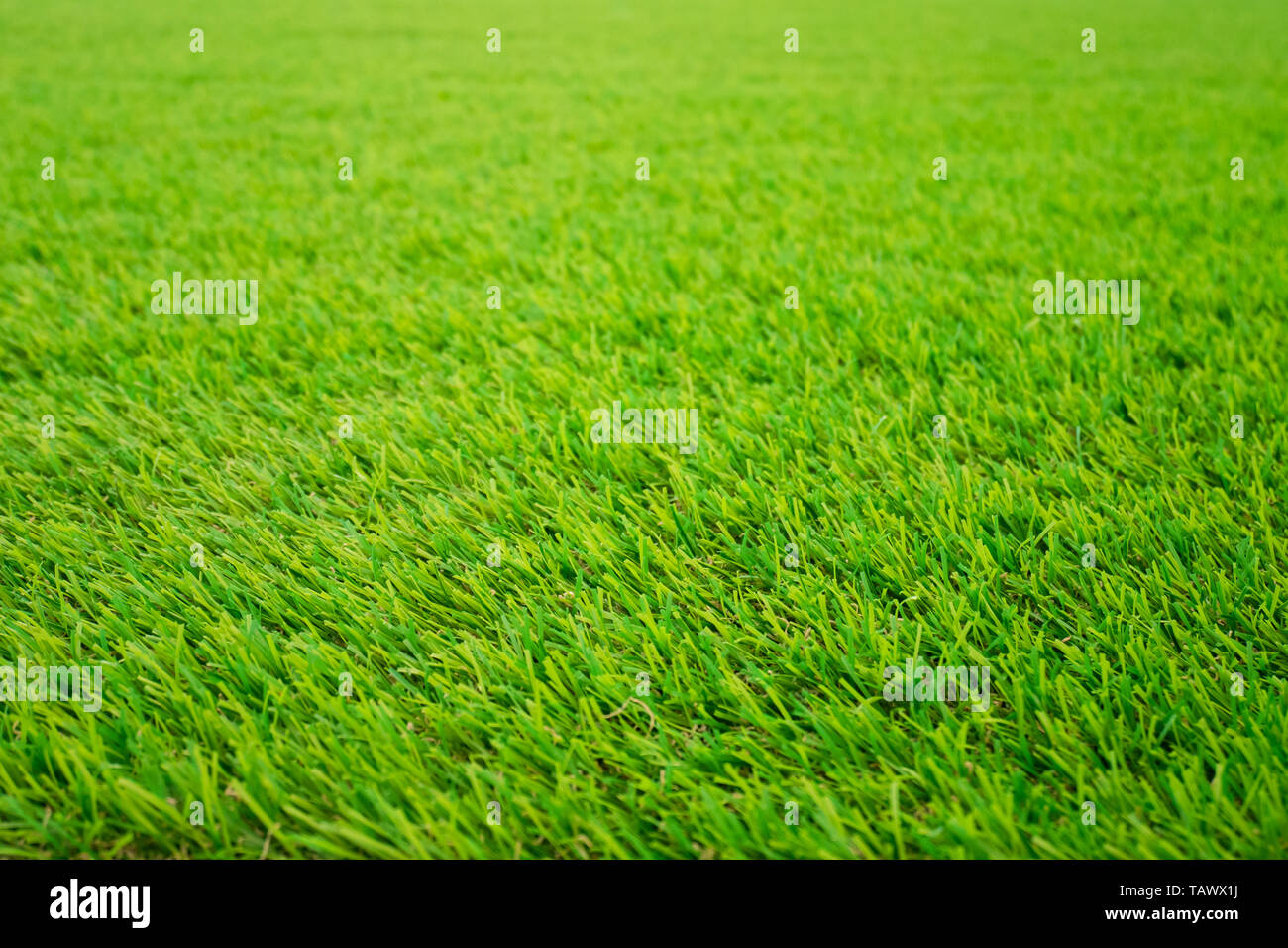 Grüne Gras Hintergrund Textur muster Stockfoto
