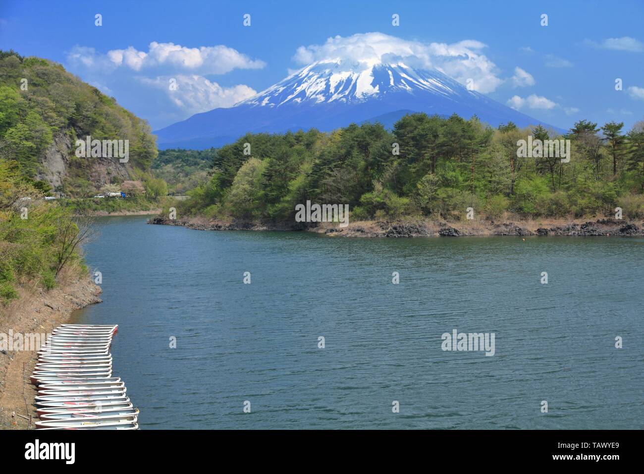 Japan Landschaft mit Berg Fuji-Lake Shoji (Shojiko) und den berühmten Vulkan. Teil von Fuji fünf Seen im Fuji-Hakone-Izu Nationalpark Stockfoto