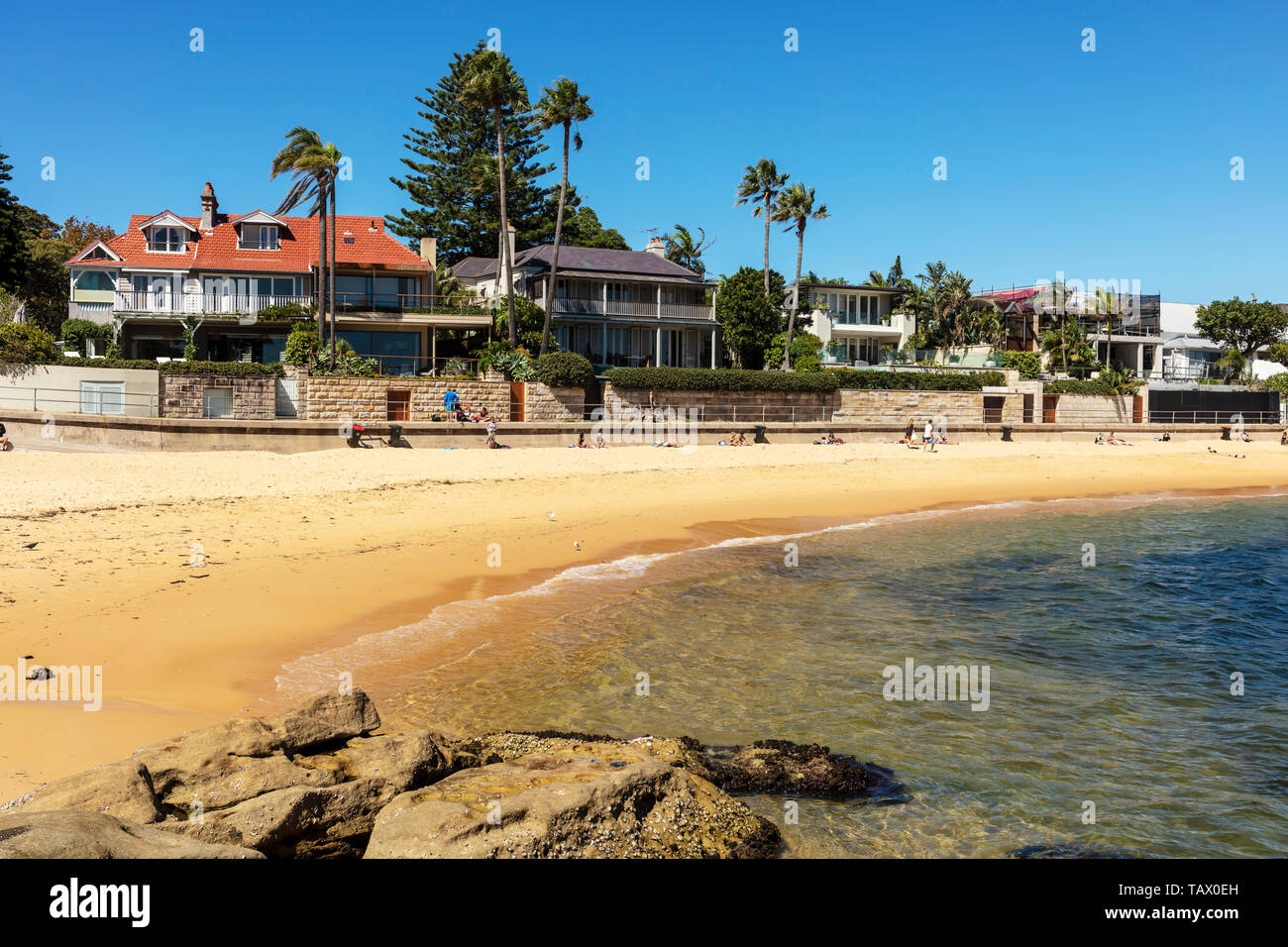 Pristine Camp Cove Beach in Watsons Bay in der Nähe von Sydney, Australien. Stockfoto