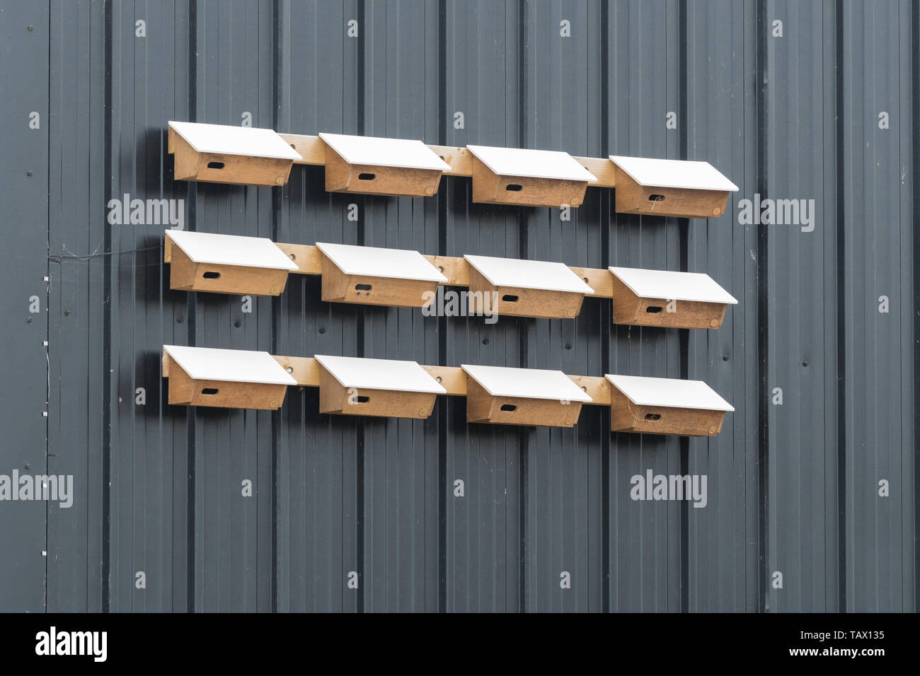 Swift Boxen in Aldeburgh, England, Großbritannien Stockfoto