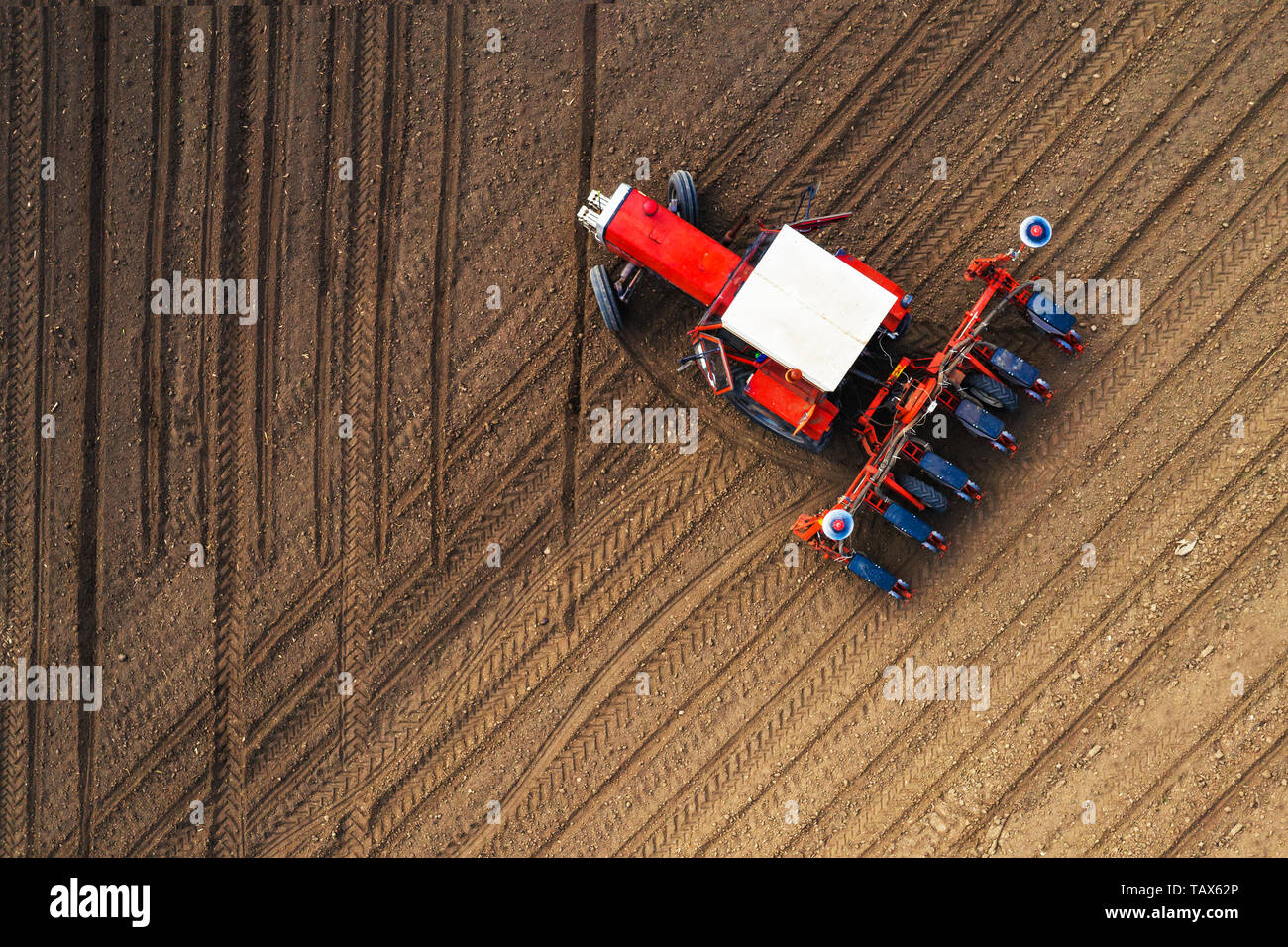 Draufsicht des Traktors das Einpflanzen von Maissaatgut in Feld, hohe Betrachtungswinkel drone Fotografie Stockfoto