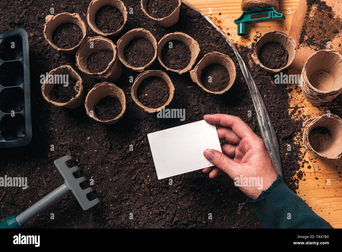 Gärtner Holding blank business card Mock up über ökologischen Landbau und Gartengeräte Stockfoto