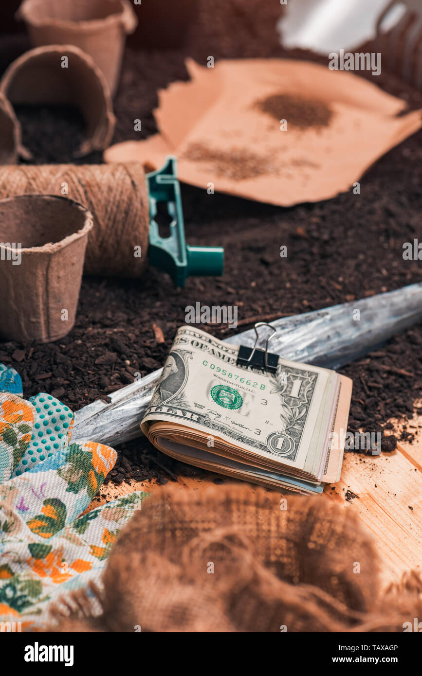 Geld verdienen im ökologischen Landbau, im Garten arbeitende Werkzeuge und Geräte mit Stack des amerikanischen Dollar Stockfoto