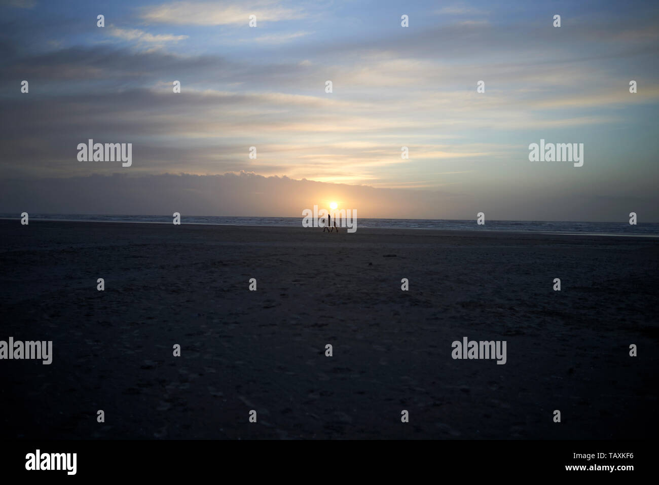 Wunderschöne, ruhige und gelassene Bilder der Landschaft mit einer Person in Silhouette ein Pferd Reiten entlang der Küste am Strand bei Sonnenuntergang Stockfoto