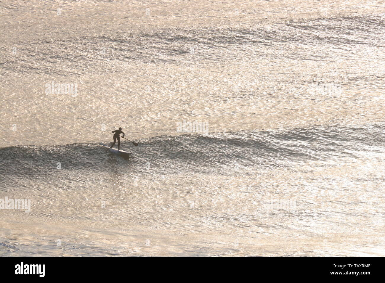 Ein Paddle Surfer bei Sonnenaufgang in Scarborough, North Yorkshire, Vereinigtes Königreich Stockfoto