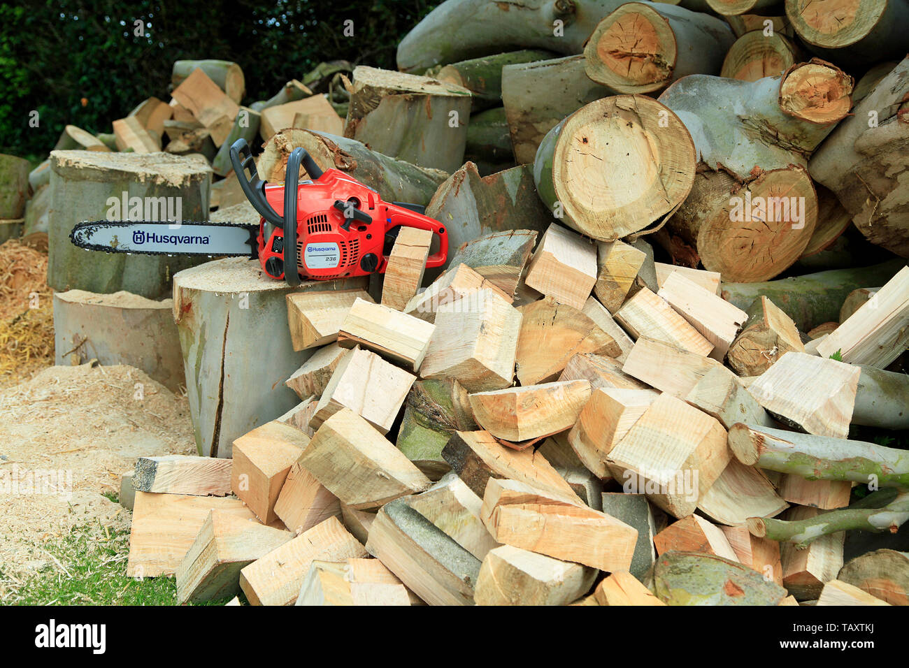 Kettensäge und Holz Stockfoto