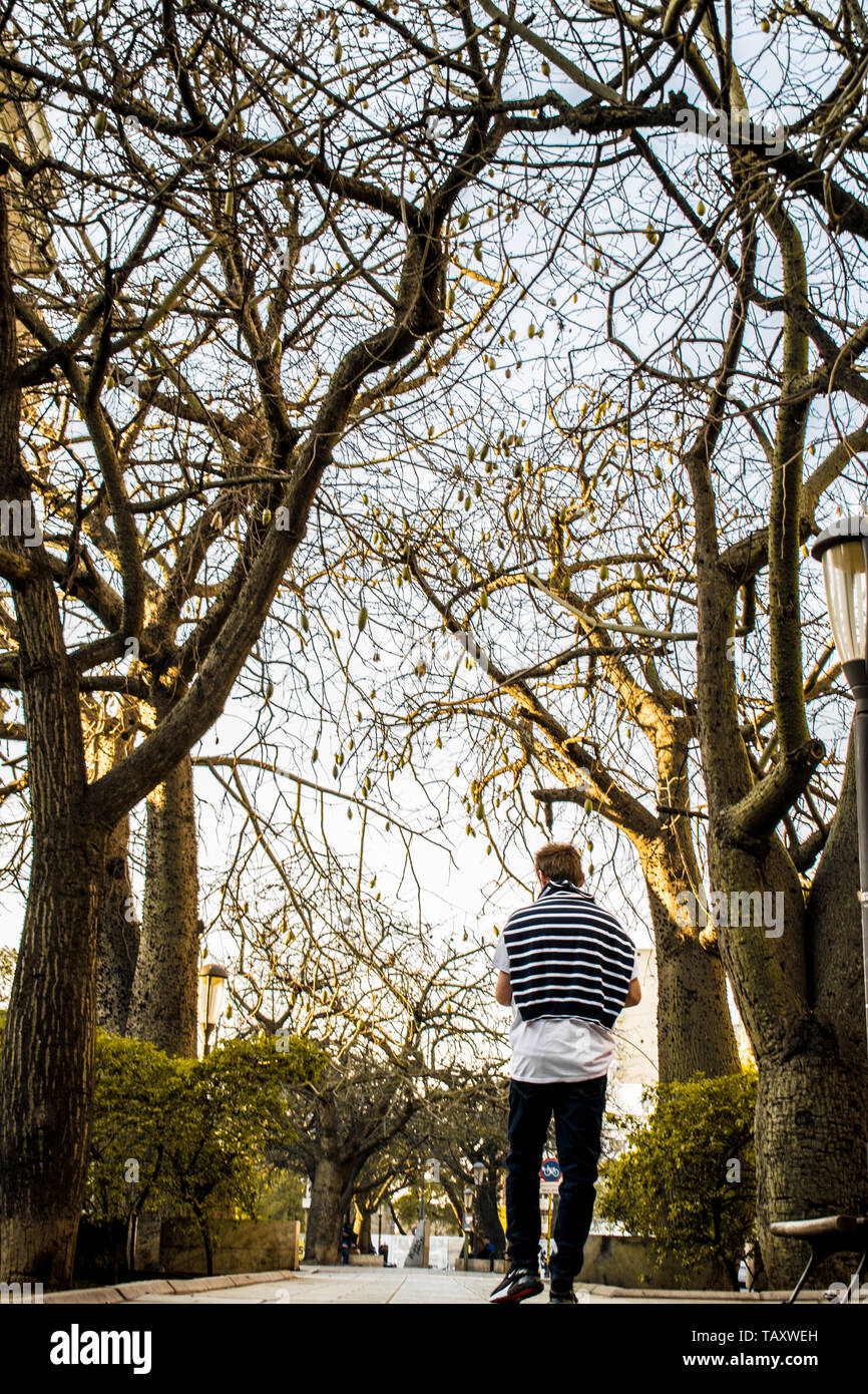 Spaziergang im Baum Argentinien Stadt Stockfoto